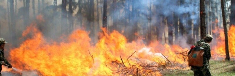 У Києві найближчими днями буде надзвичайно високий ризик пожеж