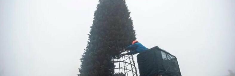 Незламні у всьому: ялинка на Софійській площі засяяла жовто-блакитними вогнями