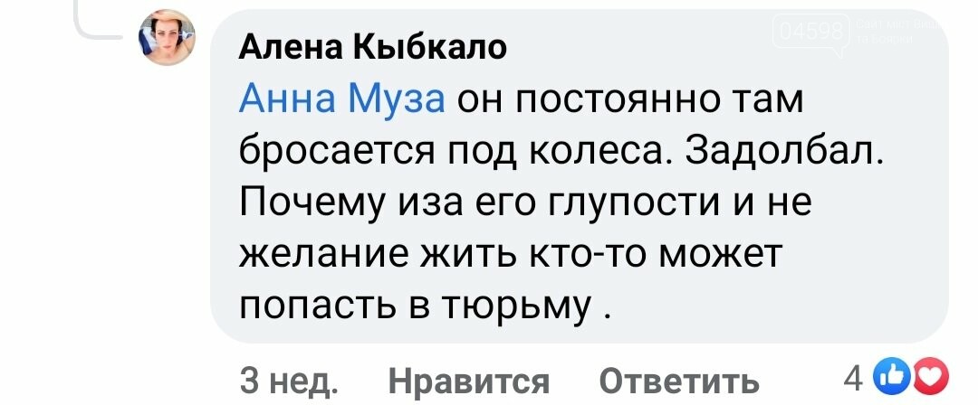 У Вишневому Патрульна поліція "втекла", замість того, щоб вирішити проблему: ВІДЕО, фото-2