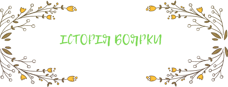 м. Боярка. Історія та сучасність