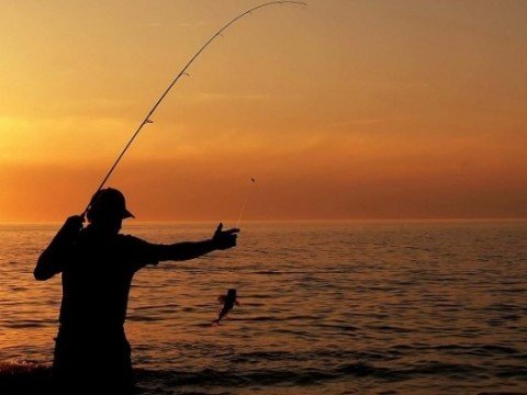 На Київщині починається заборона на вилов риби