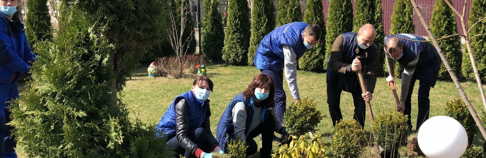 У Боярці триває акція озелення територій: як це відбувається - фото