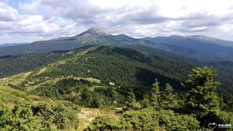 Панорамний вид на зелені схили й смерекові ліси Чорногірського хребта з масивом Говерли в літніх Карпатах Панорамний вид на зелені схили й смерекові ліси Чорногірського хребта з масивом Говерли в літніх Карпатах